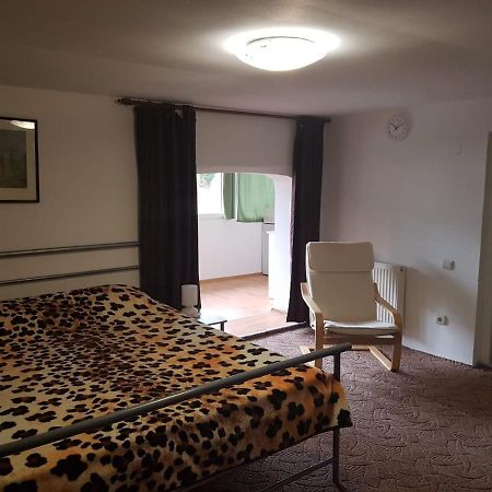 Casa Oriana Lägenhet Predeal Exteriör bild